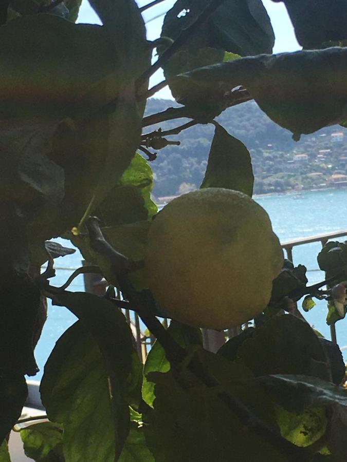 Casa Rossa Lejlighed Porto Venere Eksteriør billede